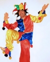 Costume Jolly