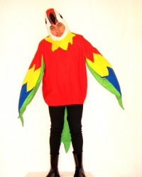 Costume Pappagallo