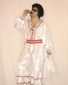 Costume Elvis