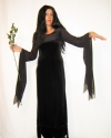 Costume Morticia 2