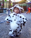 Costume Dalmata