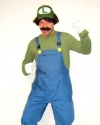 Costume Luigi