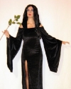 Costume Morticia Addams