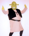 Costume Shrek 2