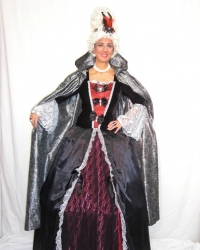 Costume Dama Lady Smith